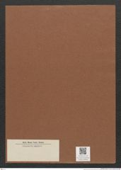 Diatomeae indet. Zeichnungen Sammlung Grunow Mappe 00858 (Herbarium_W_Grunow_drawings_Folder_00858)